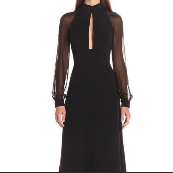 Jill Stuart Dresses & Skirts - NEW Jill Stuart Sheer Gown size 0